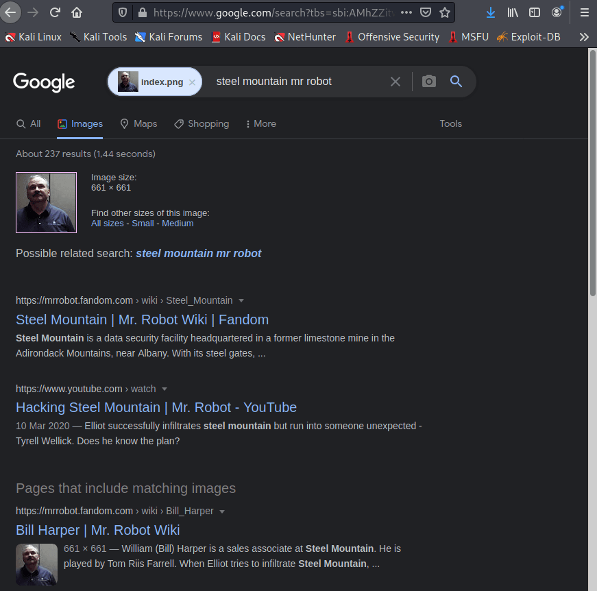 Google Image Search